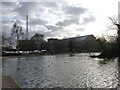 Alexandra Palace: the Palace from across the lake