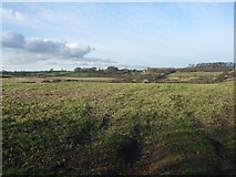 SE3639 : Farmland, Sandhills by JThomas
