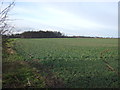 Farmland, Whinmoor