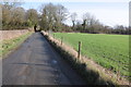 Herefordshire Trail approaching Eardisley