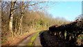 Byford Common Lane