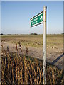 Footpath to Sandy Lane, Hightown