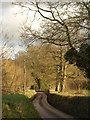 Road past Glebe Park