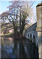 Bridge, The Lake, Buscot Park