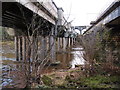 NY3857 : Below the railway bridges at Etterby by Clive Nicholson
