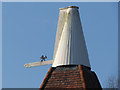 Cowl of Knoxbridge Farm Oast