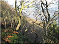 The  drop  over  Beast  Cliff  to  the  Undercliff