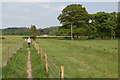 Footpath going towards Barrow farm