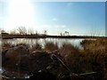 Lochan by Balcraig Moor