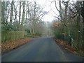 Coach Road, near Ivy Hatch