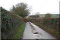 Lane to Long Bredy Farm