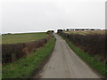 The Bright Road climbing to the crest of a drumlin