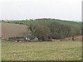 Ruined homestead on the Ballynoe Road