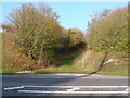 Butt Lane Hollow