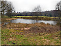 Pond in Regent Park