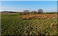 Moorland, Barnaigh Hill