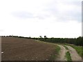 Track towards Asfordby Farm