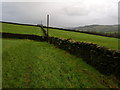 Drystone Walls East of Near Leys Farm