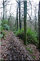 SS9239 : Path in Little Quarme Wood by Graham Horn