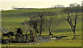 J4567 : Drumlin fields near Comber (5) by Albert Bridge