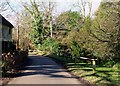 Padgham Lane near Dallington