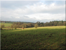 TQ5515 : Mill Field by Simon Carey