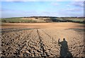 Ploughed Away Path