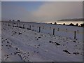 SU1771 : View north from Barton Down after snow by Vieve Forward