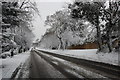TQ7912 : A21 in St Leonards after snow by Julian P Guffogg