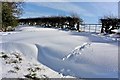 SE4199 : Almost Virgin Snow, Goosecroft Lane by Paul Buckingham
