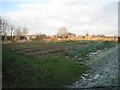 Allotments at Harby