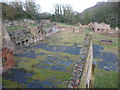 Industrial ruins below Battery Pool in the Greenfield Valley