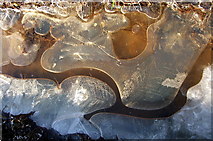 NZ2575 : Ice by Christine Westerback
