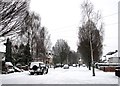 Snowy Sunday morning in Hills Avenue