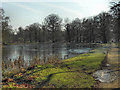 SJ7387 : Island Pool and Farm Walk, Dunham Park by David Dixon