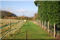 Footpath by Roses Farm