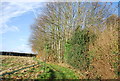 Footpath to Farleigh Green