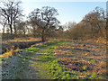 The Redbrook Wildlife Trail