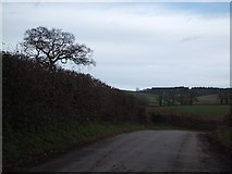 SX8976 : Minor road and fields south of Luton by David Smith