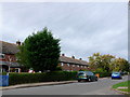 Houses on Grafton Lane