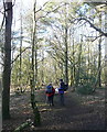 Entrance to Bramshott Chase