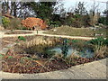 TL1307 : Pond in the Verulamium Park wildlife garden by PAUL FARMER
