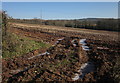 Icy stubble field, Kentisbeare