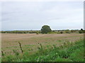 Fields near North Littleton