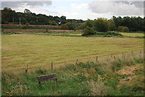 TM1247 : Bramford Meadows by N Chadwick