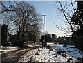 Slow thaw at Bury Farm