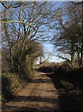 ST0809 : Lane east of Sandfield Farm by Derek Harper