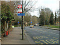 Logs Hill bus stop