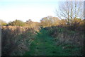 Footpath, Westbere Marshes