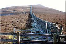 NT3139 : Ridge-top wall leading to Lee Pen by Jim Barton